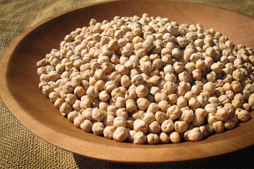 Canada Chickpeas Exporting India