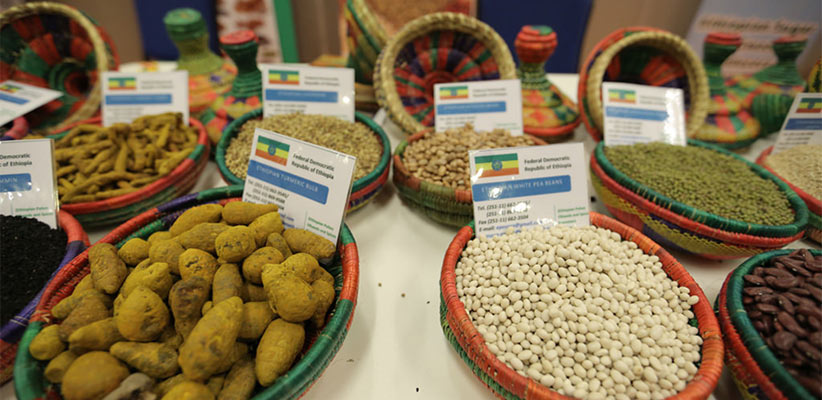 Canada Pulses Exporting Nations India