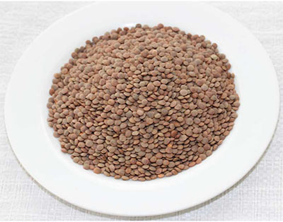 Canadian Lentils Exporting