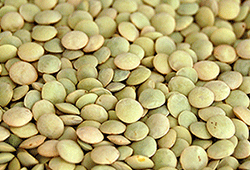 canadian organic medium green lentil richlea