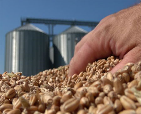 Ensure Quality Of Grain