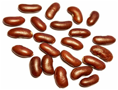 Kidney Beans Nutrition