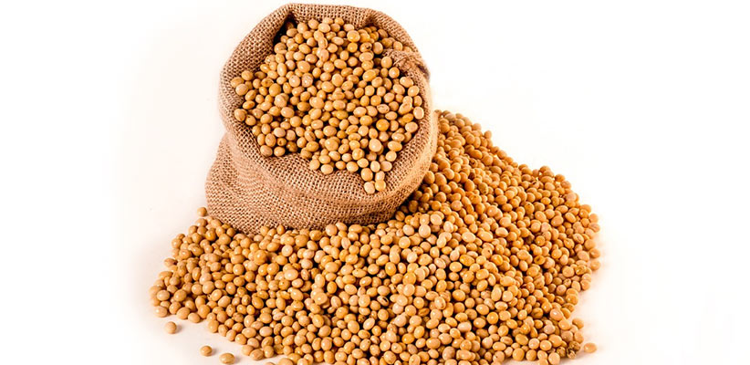 Soybeans Harvest