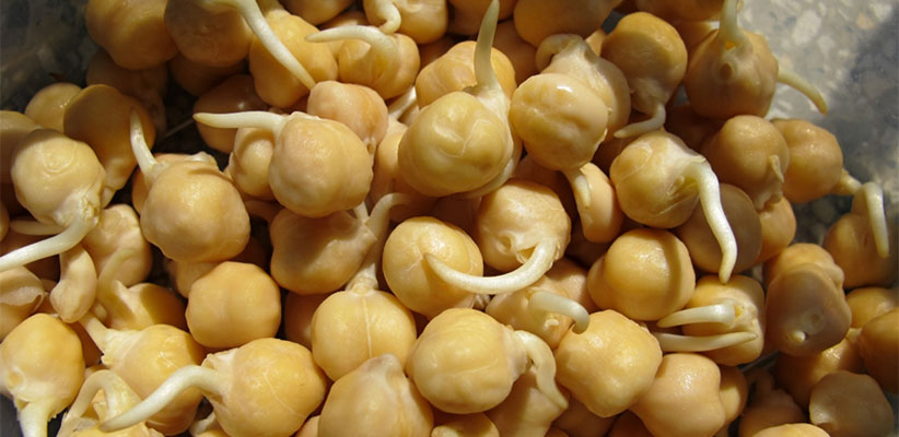 Types Of Chickpeas