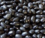 Black Beans