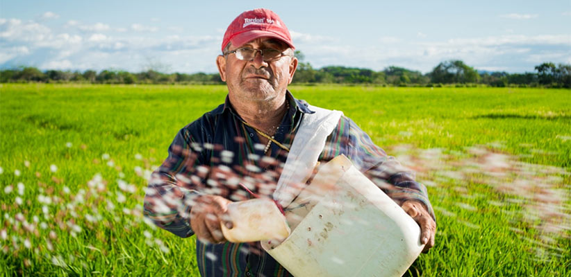 Grain Farmer Bookkeeping Systems