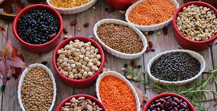 legumes types