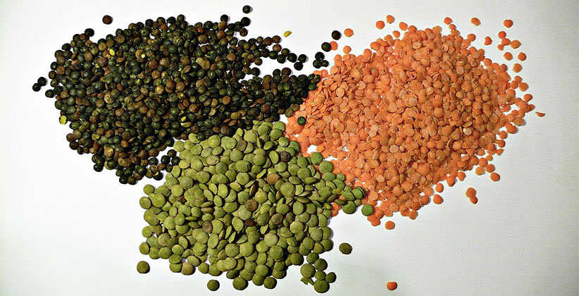 lentils nutritional powerhouses