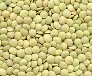 lentils richlea product