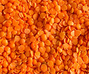 lentils split red product