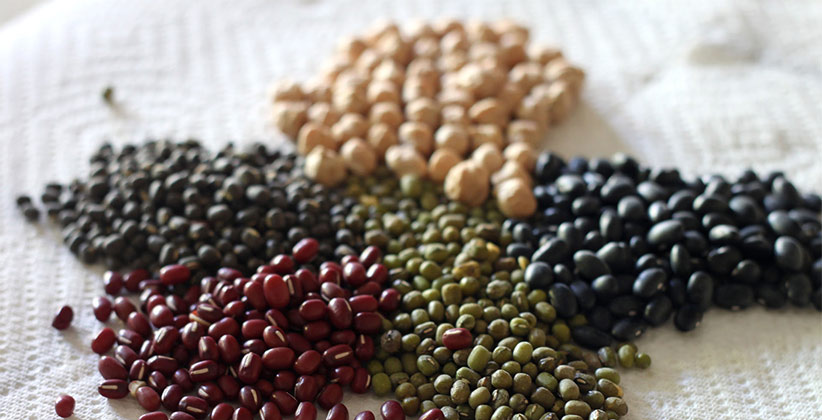 pulses for health