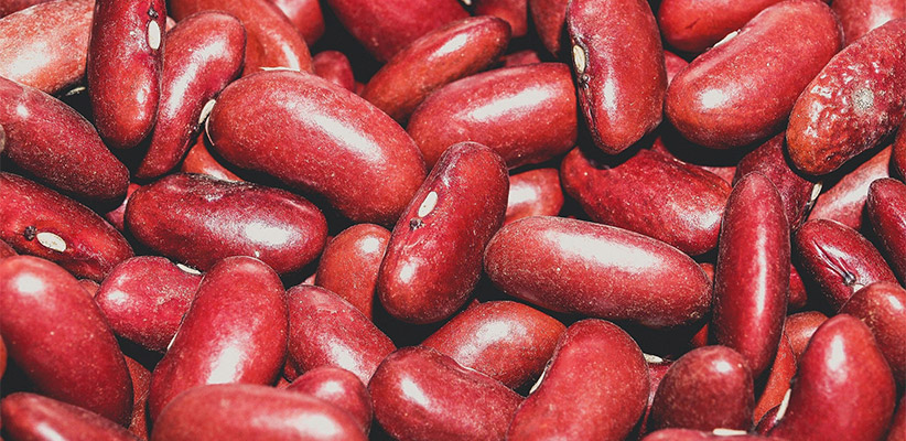 Red Beans Pulses