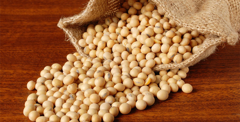 soybeans health benefits